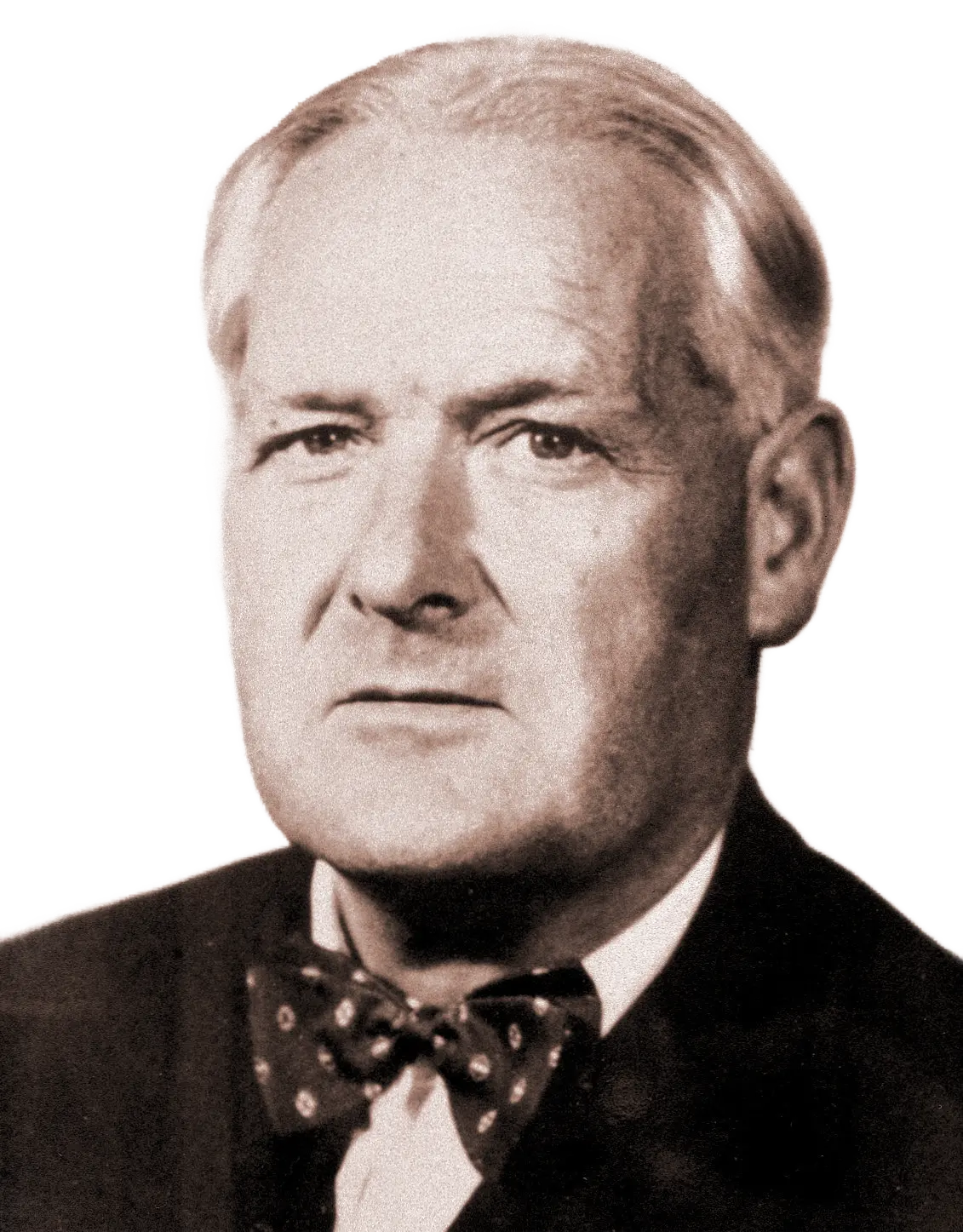 Austin Bradford Hill Criteria